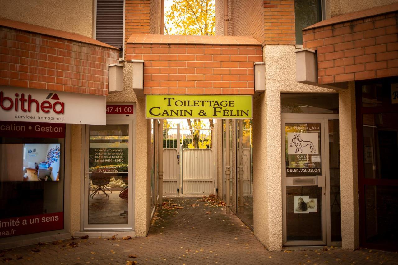 Charmant Studio☆Netflix☆Canal+☆Canal Sat☆Parking☆ Ramonville-Saint-Agne Esterno foto